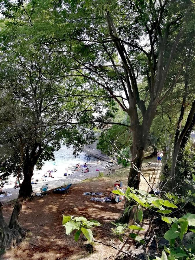 Cozy Apartment Bosnjak Near Opatija, With Sea View Terrace, Air Condition, Free Private Parking Ičići Exterior foto